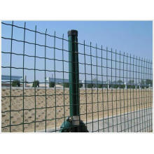 50X50mm Mesh PVC Coated Eurofence in Good Quality